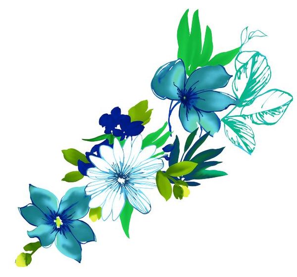 动漫花的图片，浪漫艺术品，每一帧绽放绚丽魅力！