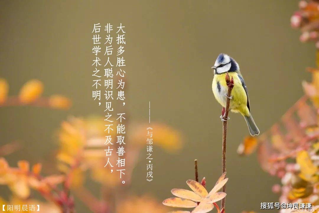 每日七言最新期，任务完成与技能学习步骤指南