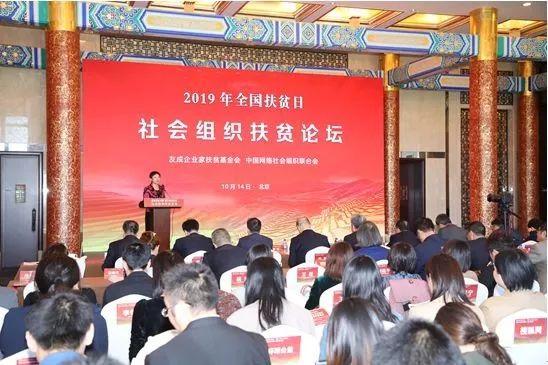 最新网络资讯，乘风破浪，共同在知识的海洋中共同成长