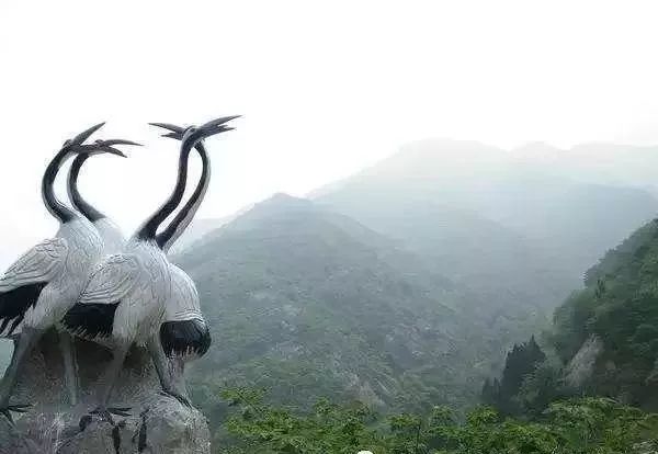 鹤伴山门票价格详解与探讨