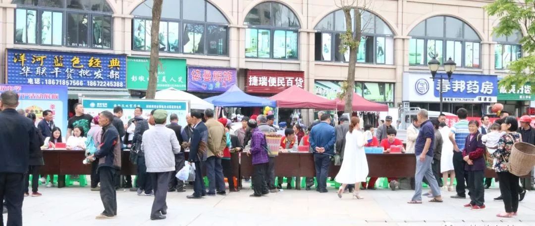 谋道镇最新资讯大解析，观点阐述与立场分析