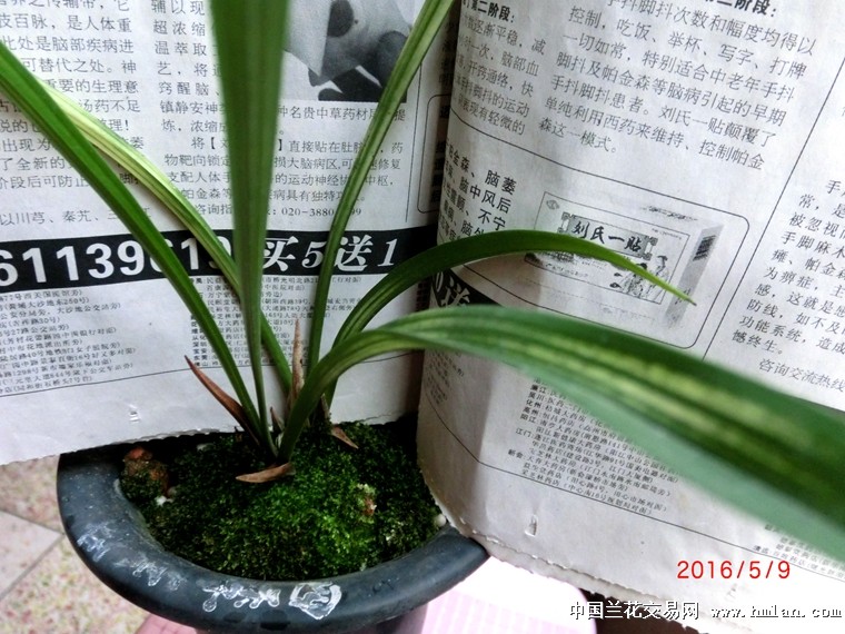 四季新品，时尚与自然的无缝融合之选