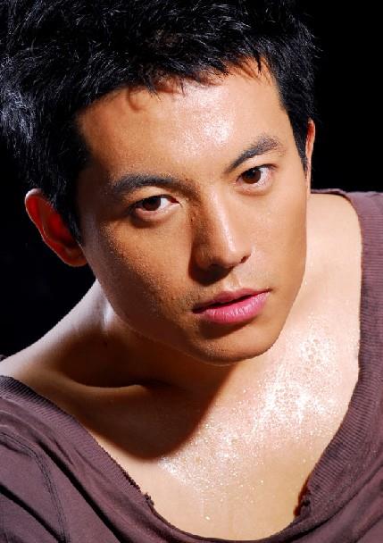 崔鹏,演艺之路的璀璨之星闪耀荧屏内外