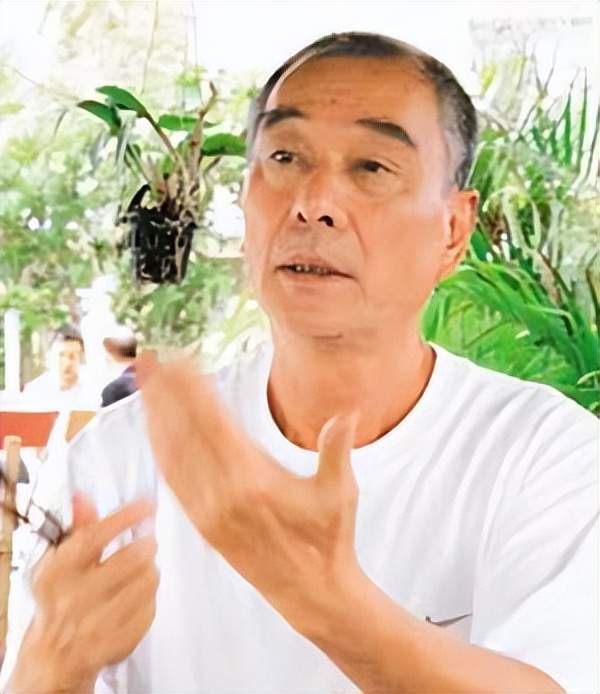 台湾黑帮明星与隐秘小巷中的故事
