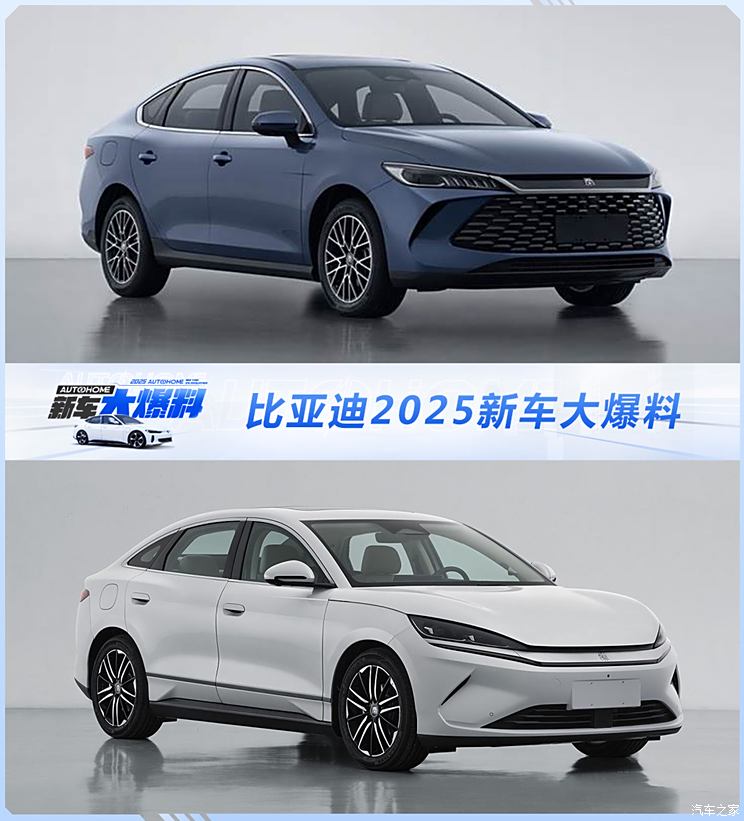 跃向未来的自信与成就,探索2025新款头像风采