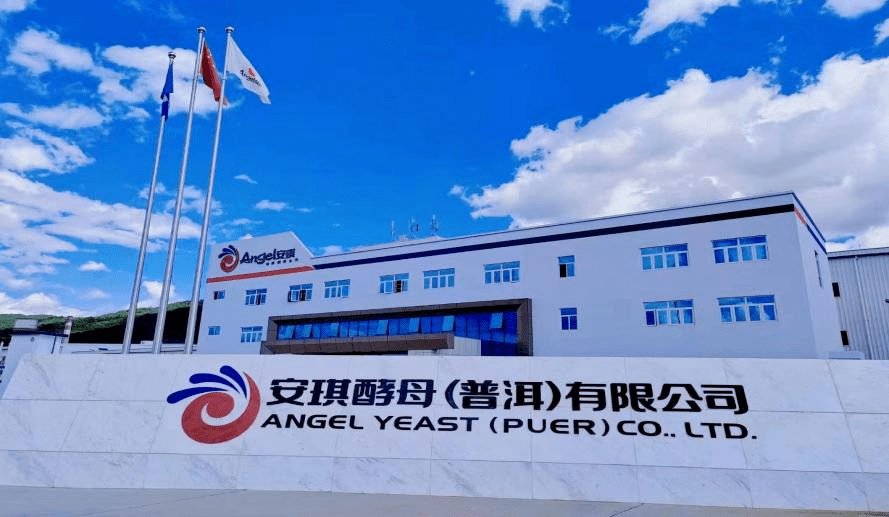 宜昌安琪酵母最新招聘日常趣事揭秘