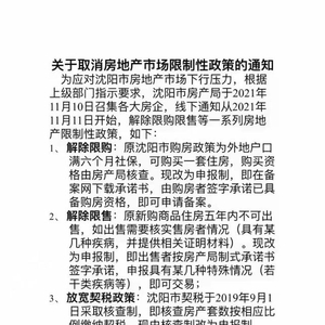 沈阳房产政策最新动态，解读政策影响及观点分析